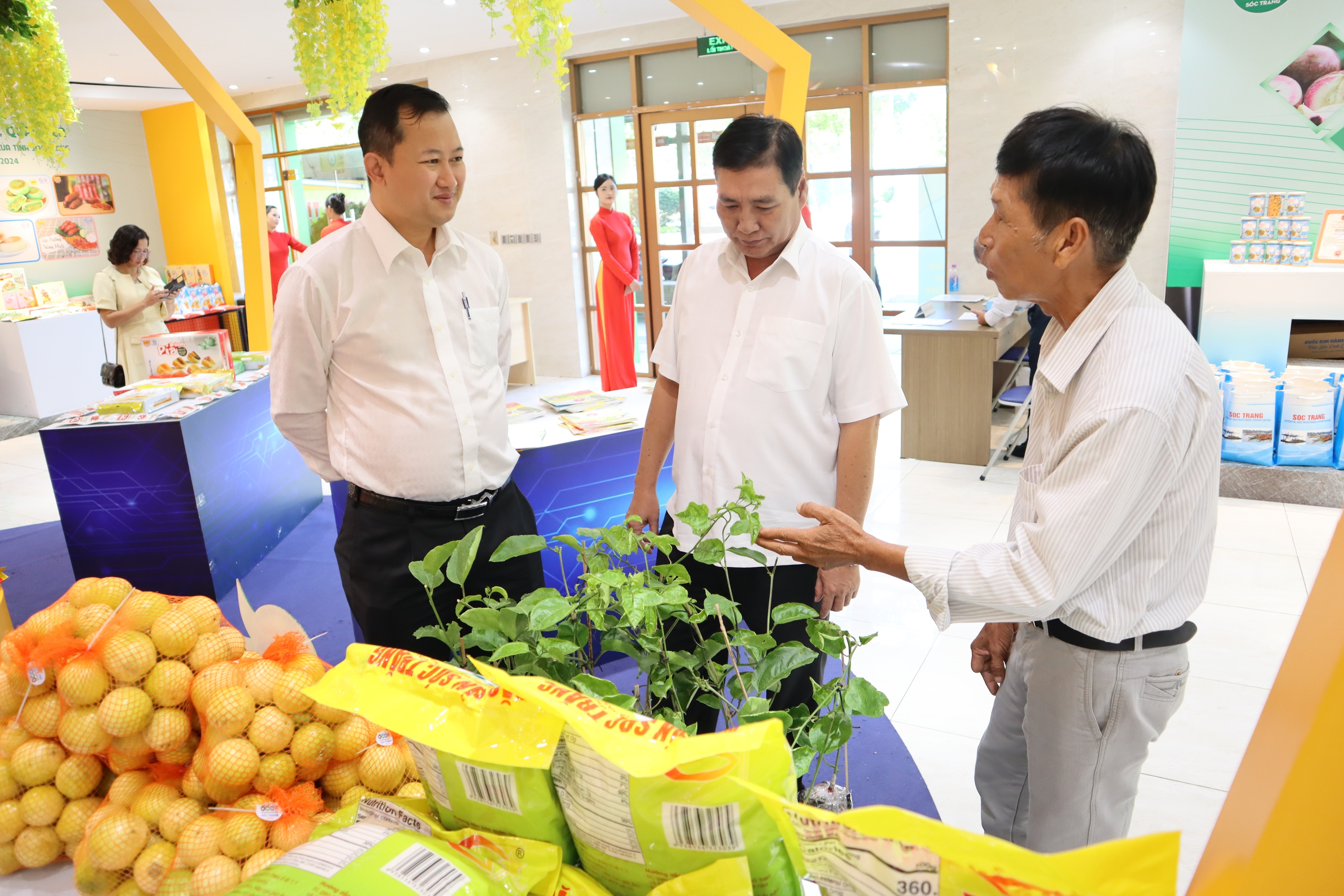 Nông dân Sóc Trăng mang gạo ST25, hành tím Vĩnh Châu, chanh dây ngọt lên TP.HCM chào hàng - Ảnh 1.