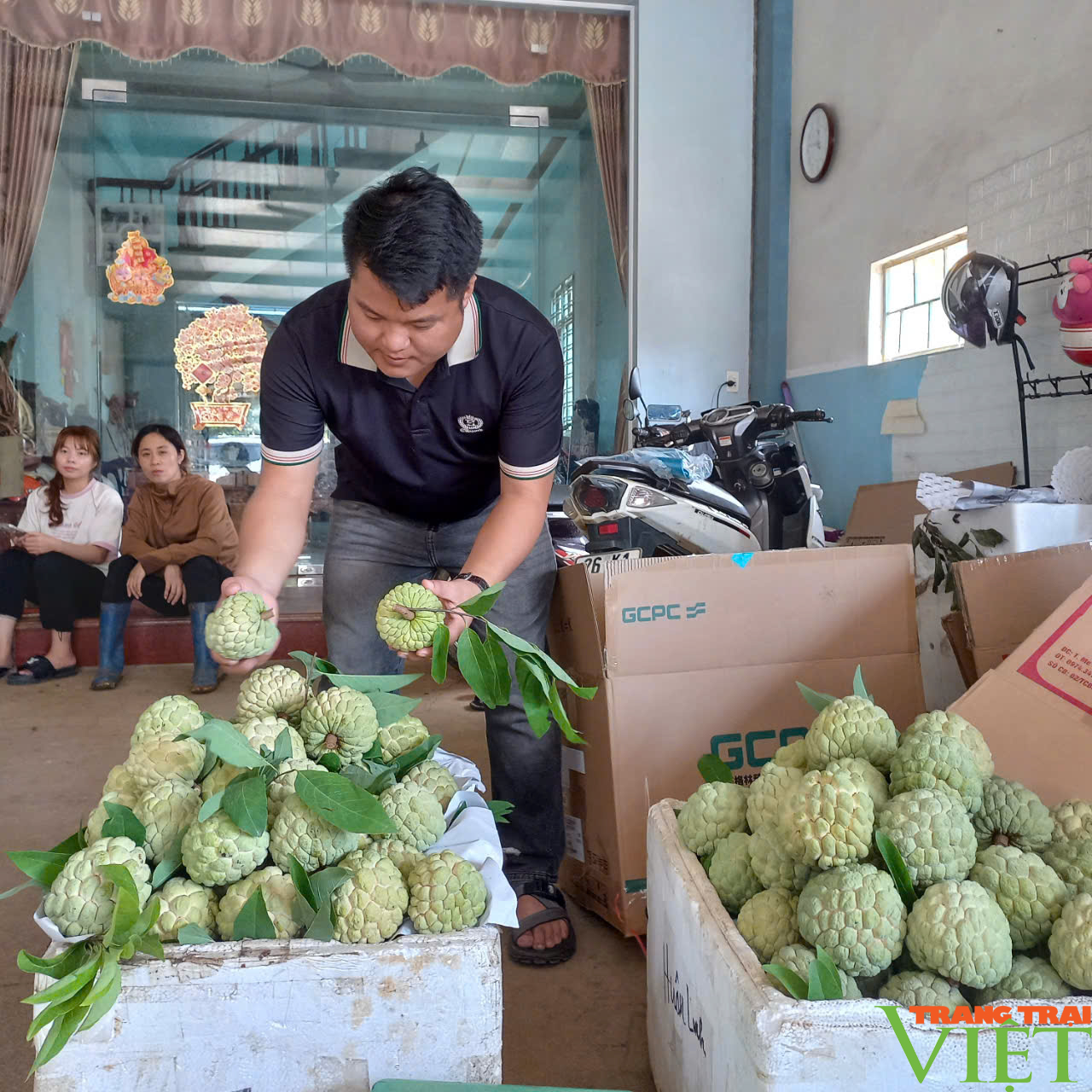 Na Mai Sơn - sản phẩm OCOP 3 sao mang lại thu nhập hàng tỷ đồng cho người nông dân - Ảnh 4.