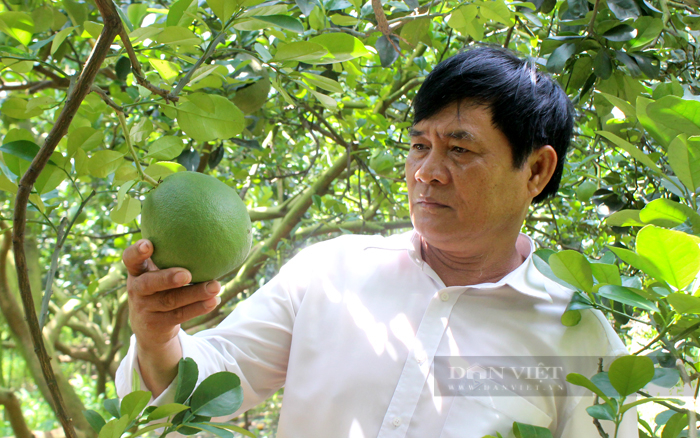 Hội Nông dân Bình Dương: Nhiều cách làm hay hỗ trợ cho hội viên nông dân - Ảnh 3.