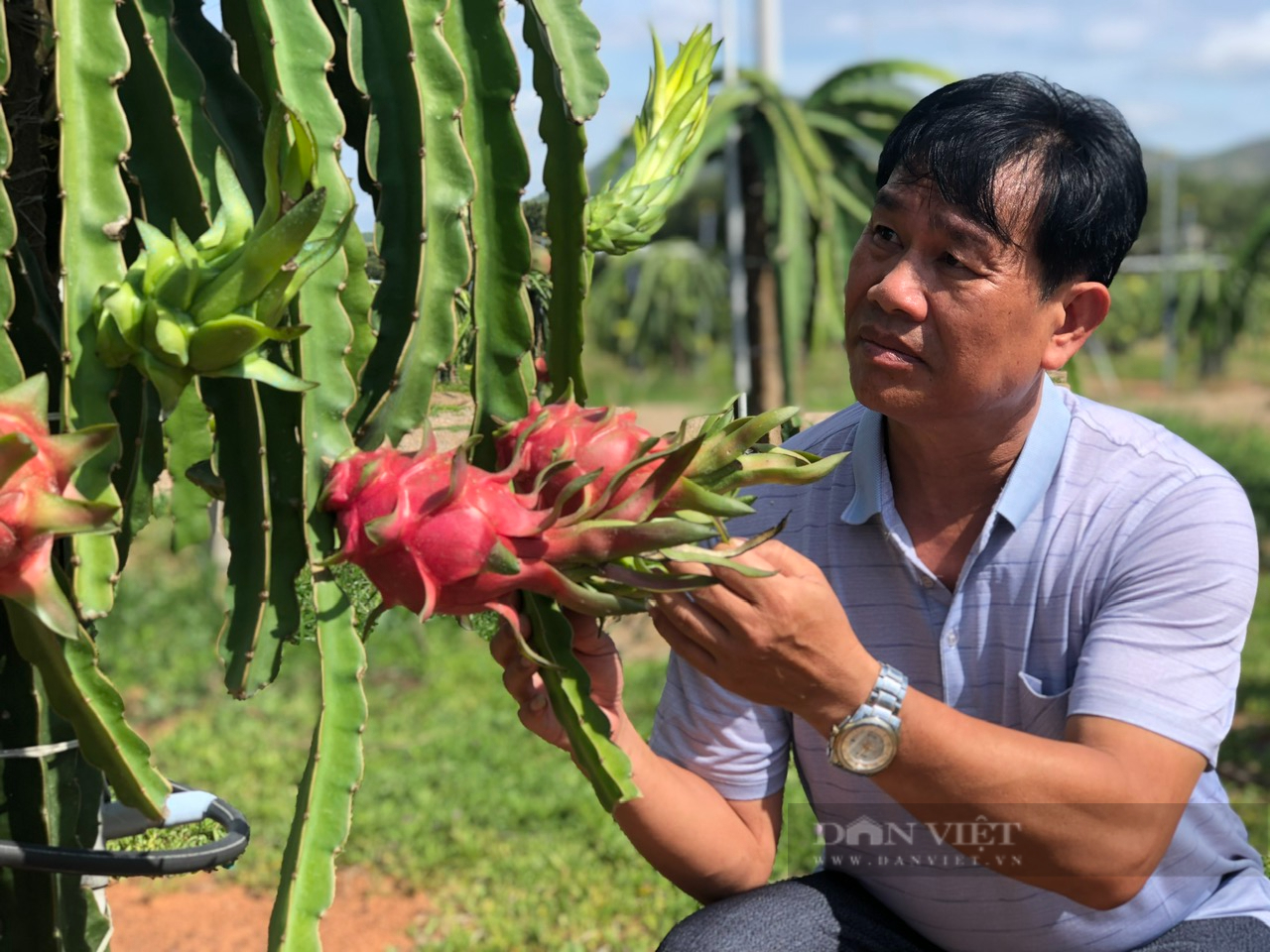 Chương trình Tự hào Nông dân Việt Nam rất ý nghĩa lan tỏa cái đẹp - Ảnh 3.