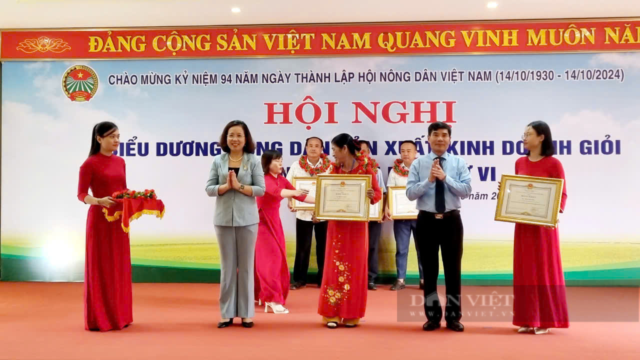 Biểu dương 141 nông dân sản xuất, kinh doanh giỏi tỉnh Ninh Bình lần thứ VI- Ảnh 6.