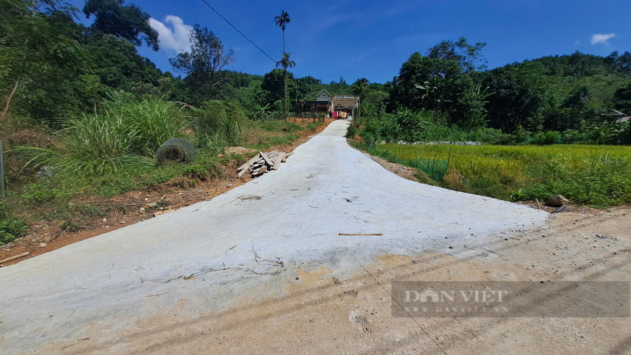 Xã Nghĩa Tâm của tỉnh Yên Bái xây dựng nông thôn mới nâng cao gắn với tái cơ cấu ngành nông nghiệp - Ảnh 5.