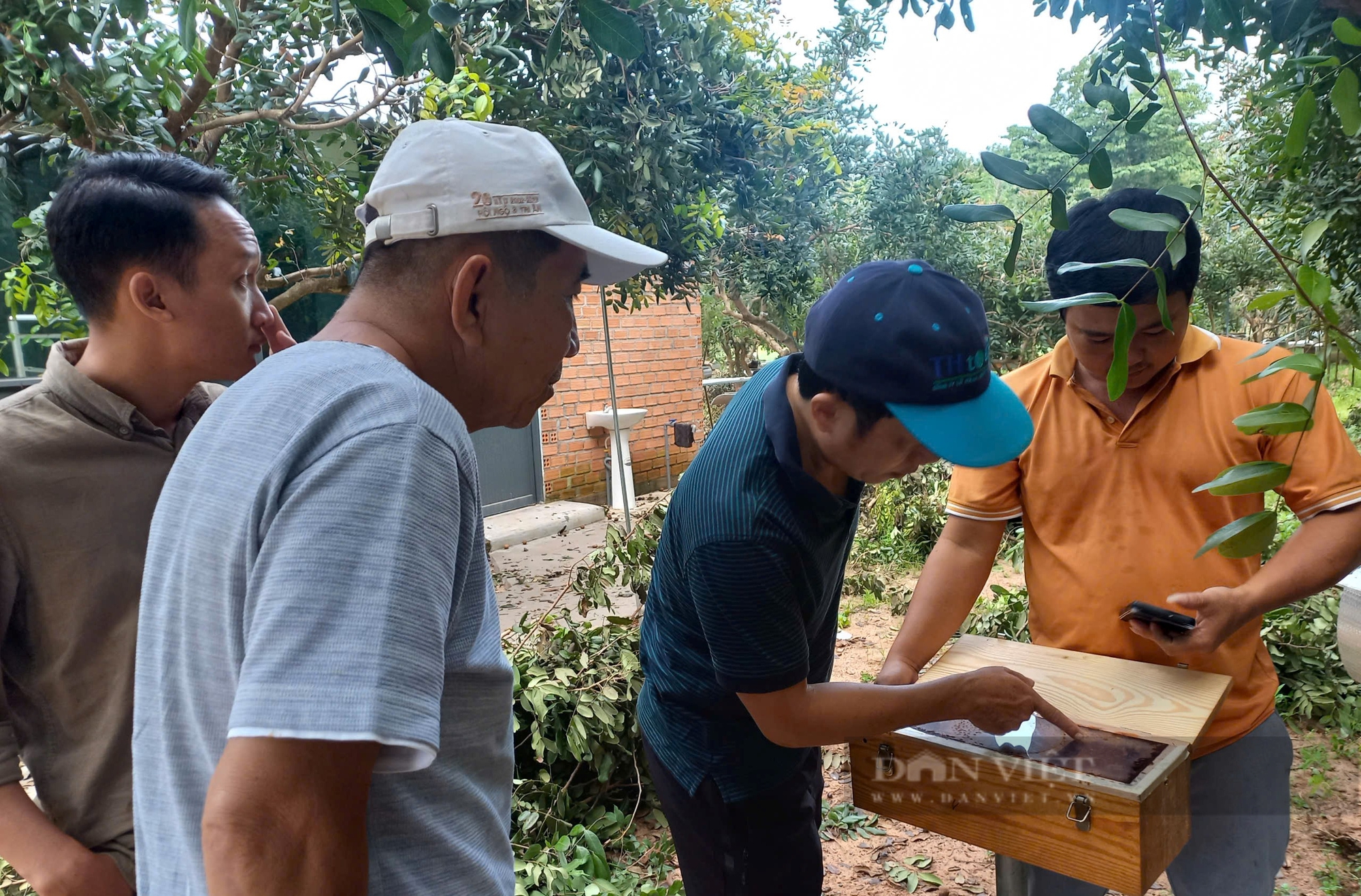 Xây dựng chuỗi liên kết cho con ong tí hon, nông dân Bà Rịa - Vũng Tàu lấy mật không đủ bán - Ảnh 4.