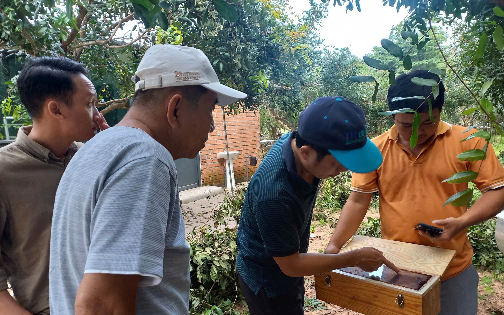 Thán phục dân huyện này ở Đắk Nông trồng cà phê, lật đá, dọn vườn, tìm nước tưới - Ảnh 8.