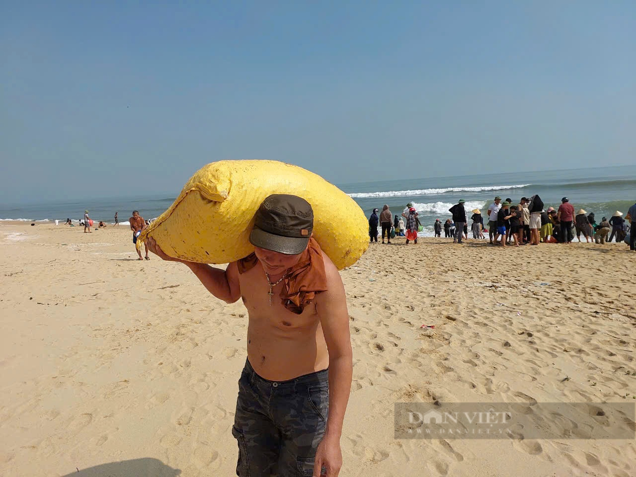 Quảng Bình: Sò huyết dạt vào kín bờ biển, người dân rủ nhau ra nhặt, có người được bao tải to - Ảnh 4.