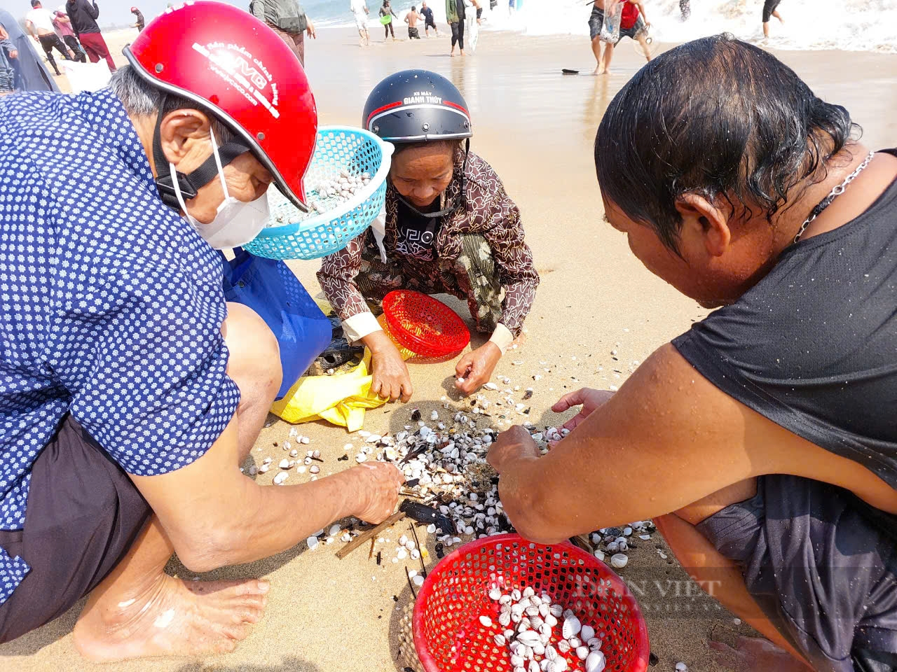 Quảng Bình: Sò huyết dạt vào kín bờ biển, người dân rủ nhau ra nhặt, có người được bao tải to - Ảnh 2.