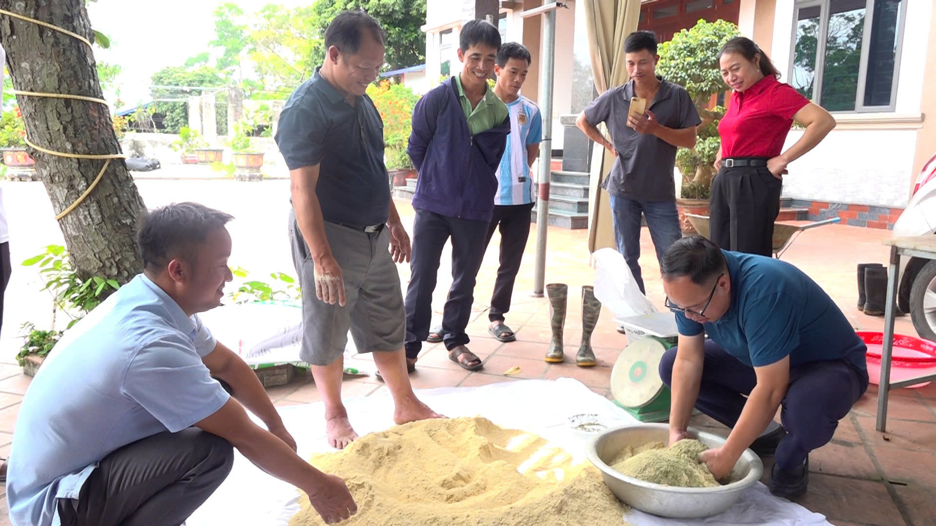 Nuôi lợn bằng bột trà xanh ở Thái Nguyên, lợn khỏe, lợn đẹp, thịt ngon cỡ nào mà người ta tò mò?- Ảnh 2.