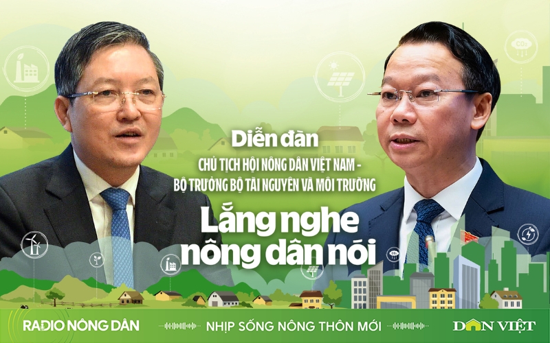 Nhịp sống nông thôn mới ngày 11/11/2024 - Ảnh 1.