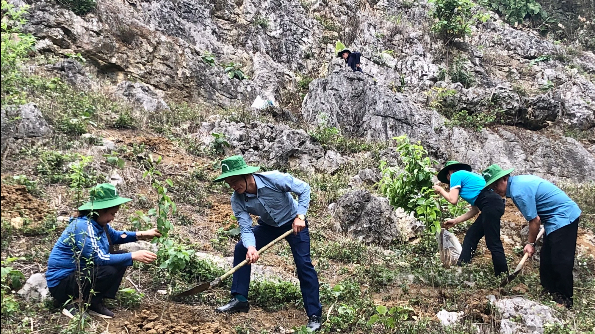 Nông dân Sơn La nâng cao vai trò bảo vệ và phát triển rừng - Ảnh 6.