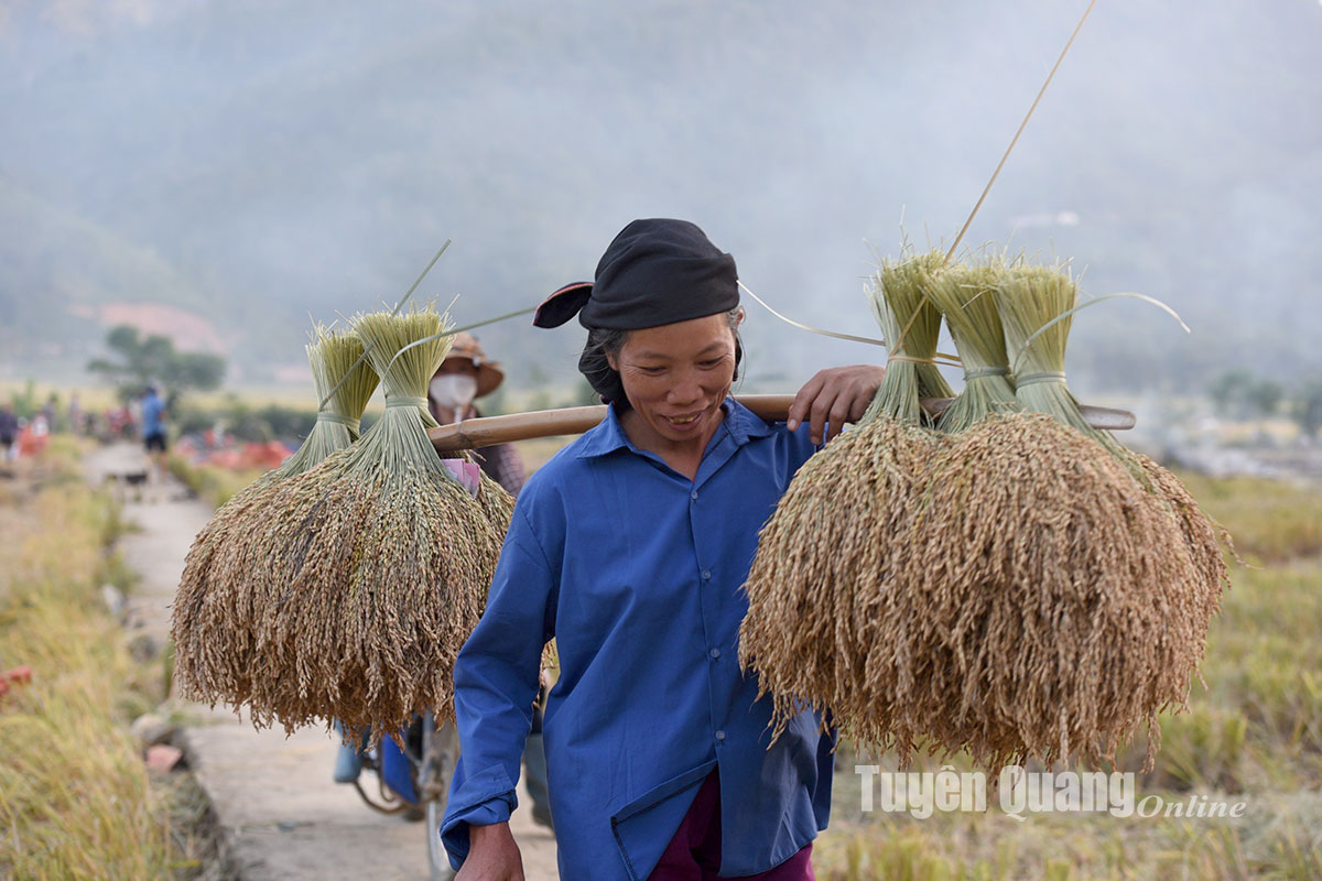 Làng cổ Đống Đa, một làng cổ đẹp như phim đã 200 năm tuổi cách TP Tuyên Quang 160km- Ảnh 2.