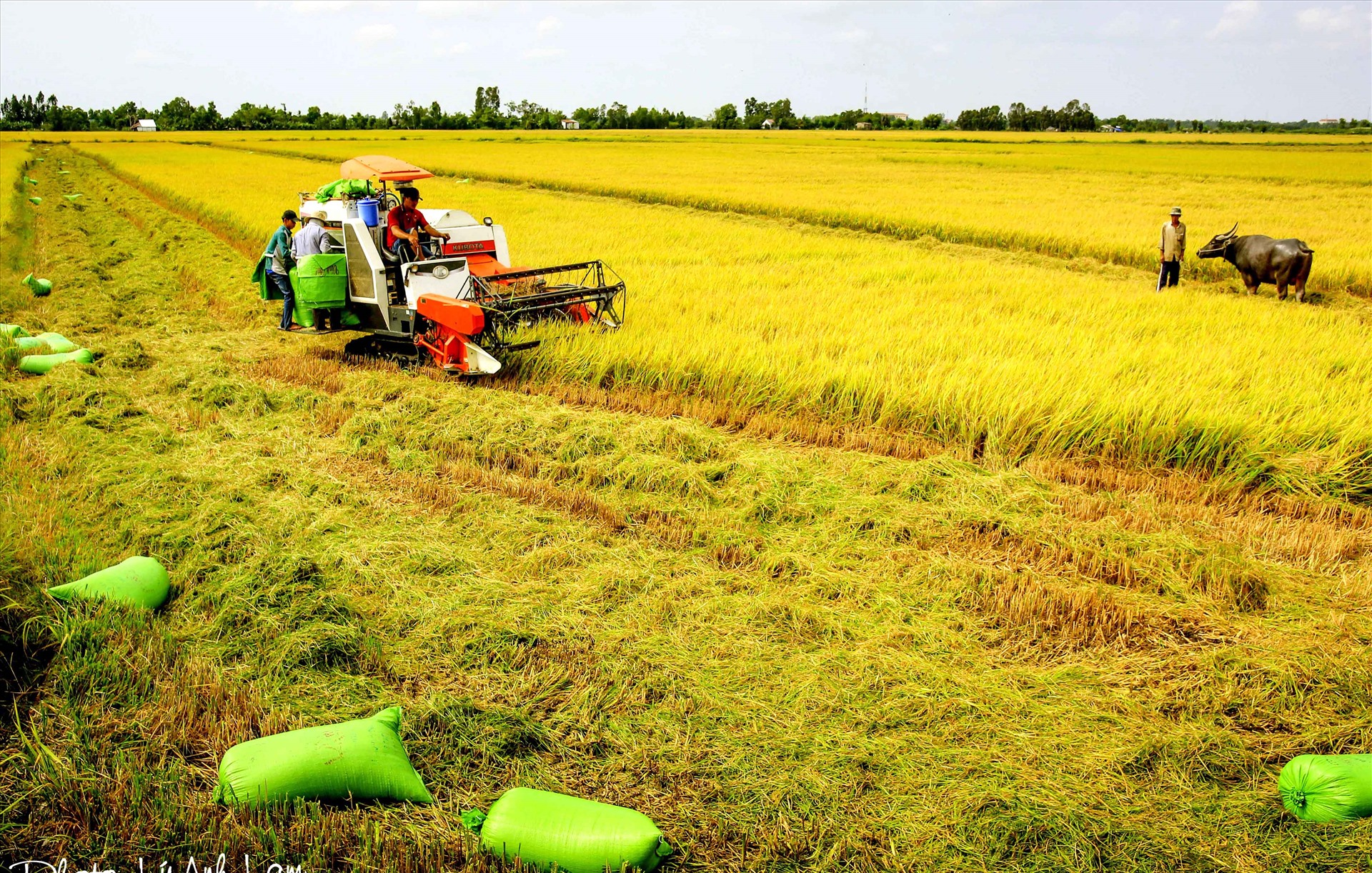 “Lắng nghe nông dân nói” sẽ trở thành Diễn đàn thường xuyên để các “tư lệnh” ngành mở lòng với nông dân - Ảnh 4.