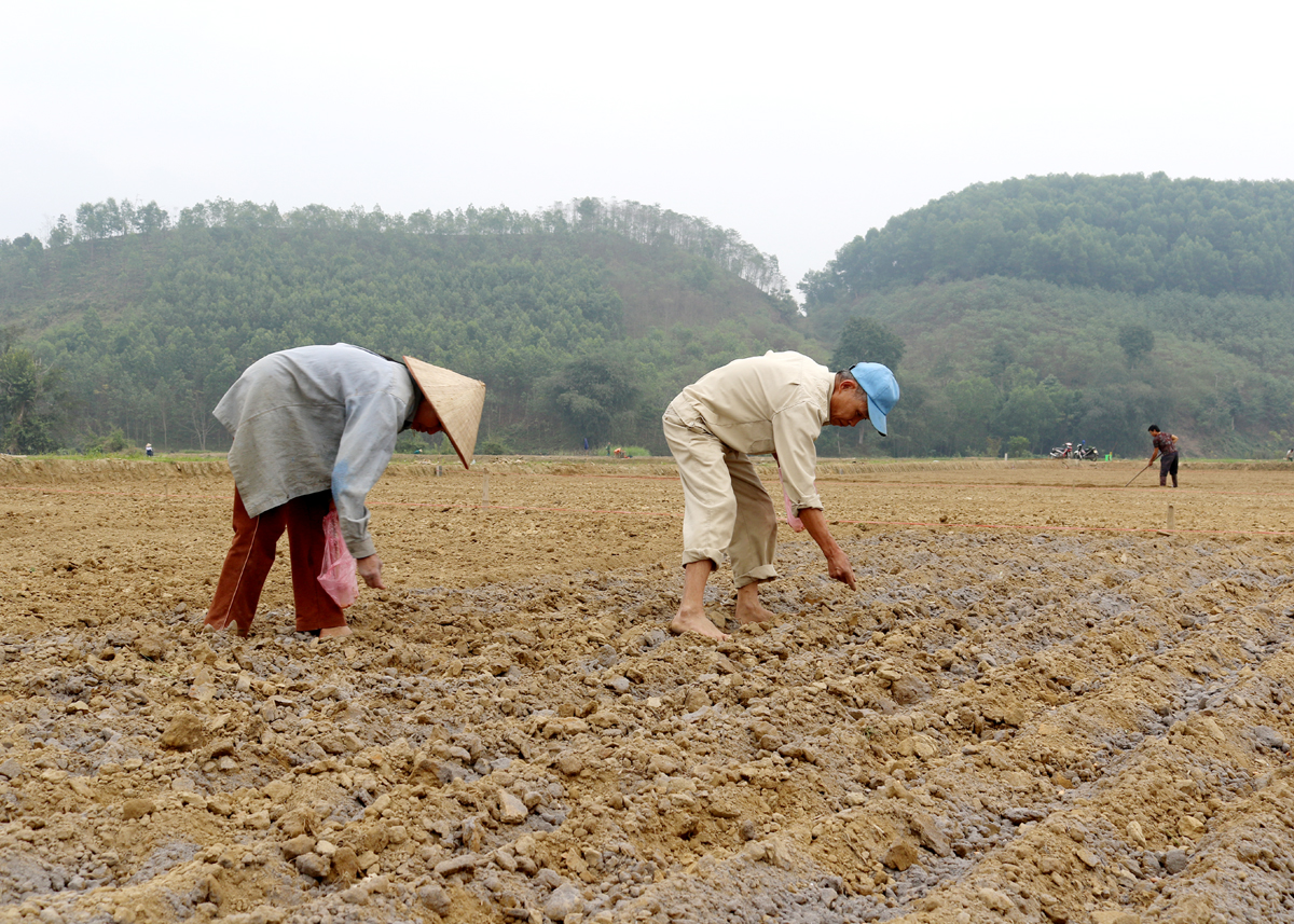 “Lắng nghe nông dân nói” sẽ trở thành Diễn đàn thường xuyên để các “tư lệnh” ngành mở lòng với nông dân - Ảnh 3.