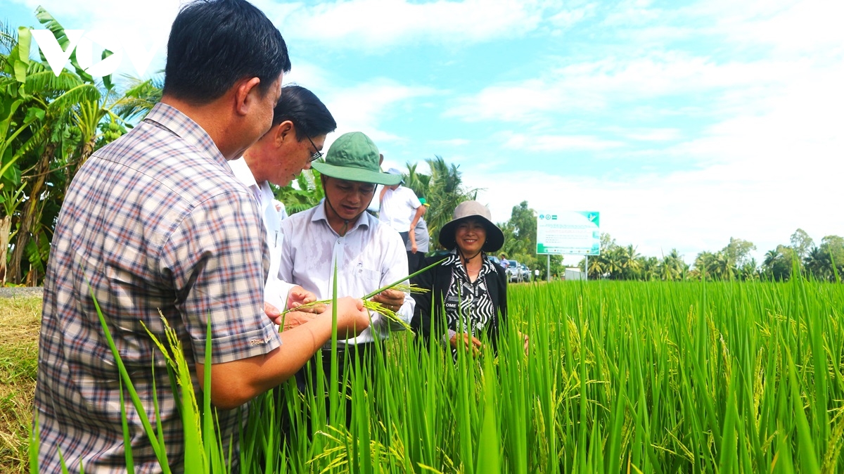 Thủ tướng đối thoại với nông dân năm 2024: Nông dân kiến nghị Thủ tướng tháo gỡ nhiều vấn đề "nóng" - Ảnh 2.