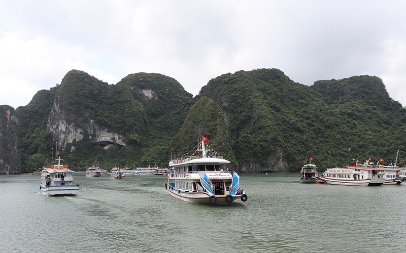 Cách Quảng Ninh “Khai tử” tàu du lịch vỏ gỗ để nâng chất lượng tàu du lịch - Ảnh 1.