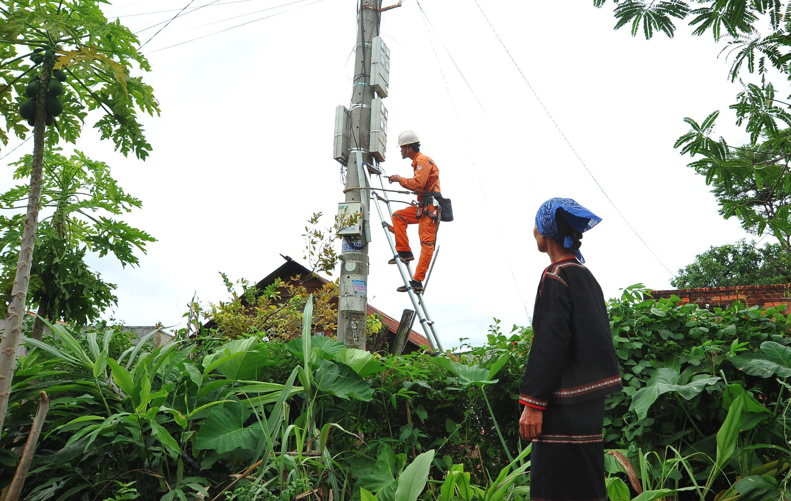 EVNCPC triển khai chương trình "Tháng tri ân khách hàng 2024"- Ảnh 4.