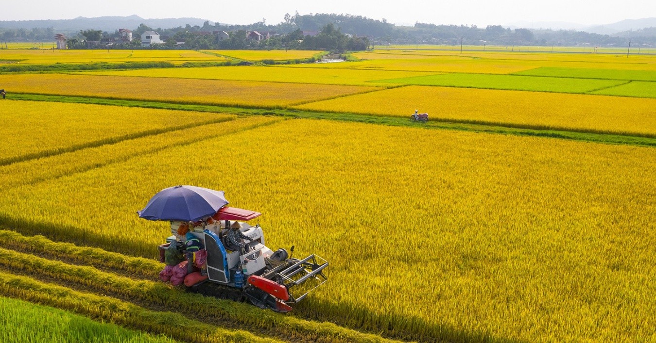 Bộ trưởng Bộ NNPTNT Lê Minh Hoan gửi thư chúc mừng 79 năm Ngày truyền thống ngành nông nghiệp- Ảnh 2.