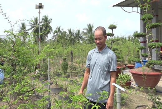 Loại cây cảnh thân "mọc" la liệt u cục hình mặt khỉ, nơi này ở Tiền Giang, hễ nhà nào trồng là giàu hẳn lên - Ảnh 1.