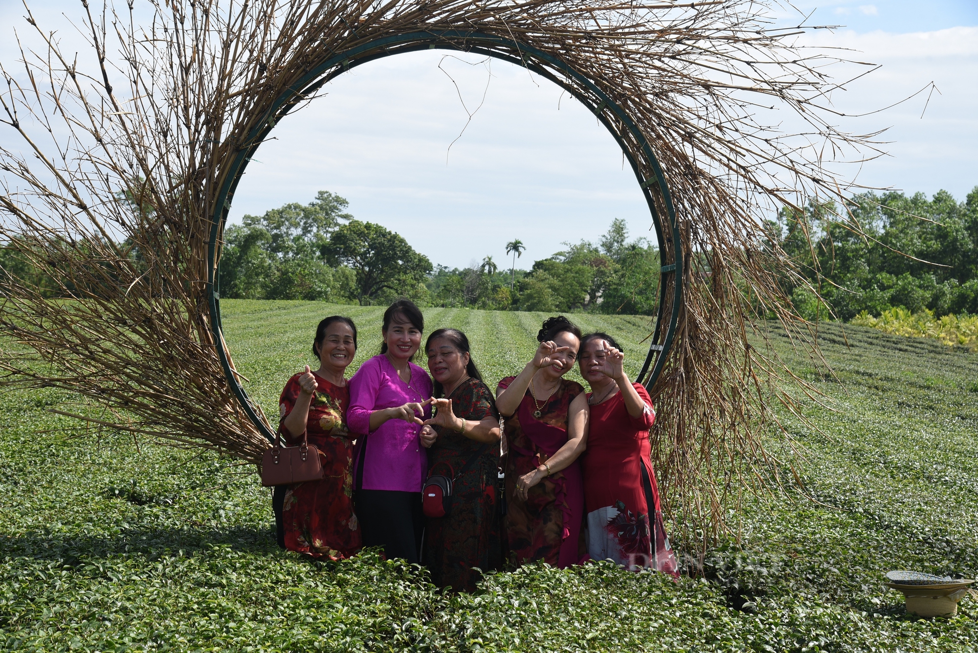 Tiềm năng du lịch đồi chè ở vùng chè Hải Hà của Quảng Ninh - Ảnh 5.