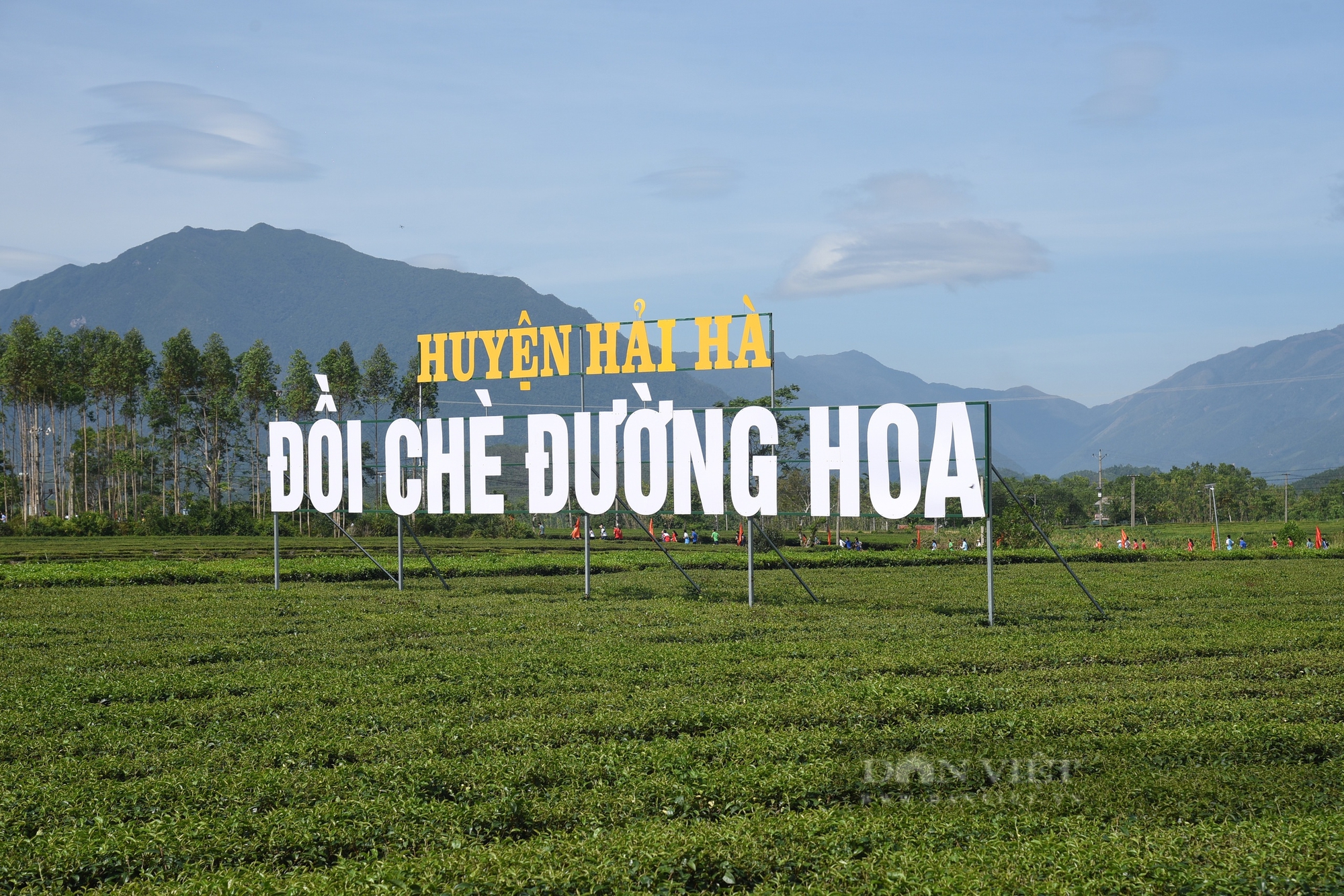 Tiềm năng du lịch đồi chè ở vùng chè Hải Hà của Quảng Ninh - Ảnh 1.