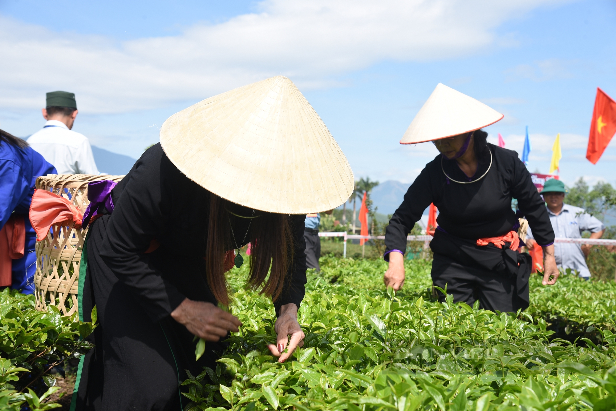 Tiềm năng du lịch đồi chè ở vùng chè Hải Hà của Quảng Ninh - Ảnh 4.