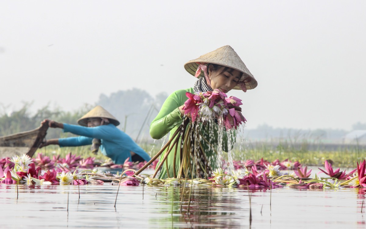 Về quê Ninh Bình tránh dịch, không ngờ có ngày nổi danh thiên hạ nhờ làm ruốc cá "tiến vua”  - Ảnh 7.