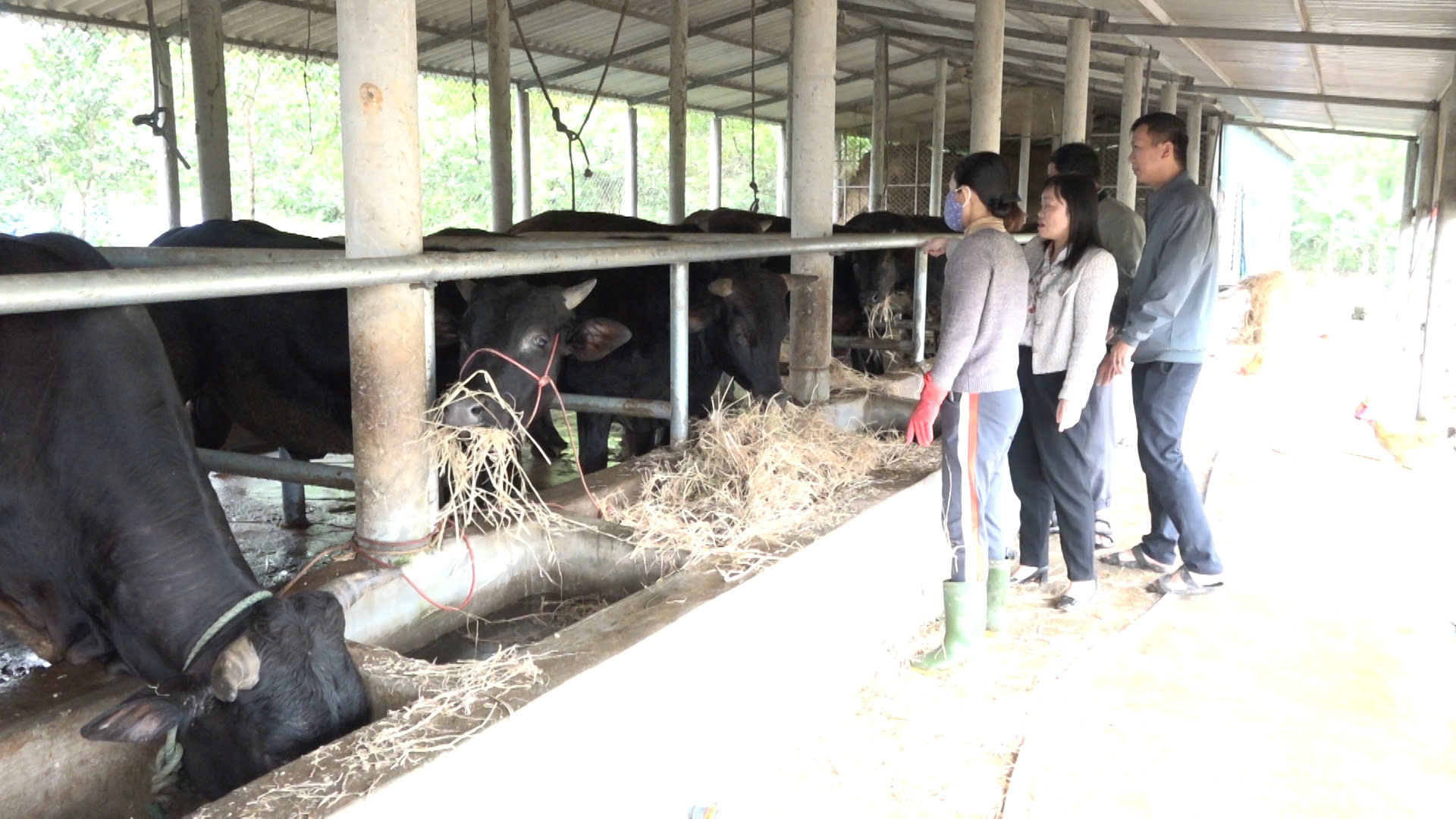 Huyện Triệu Phong đạt chuẩn nông thôn mới: Sức mạnh của giá trị lịch sử, đoàn kết, đổi mới- Ảnh 3.