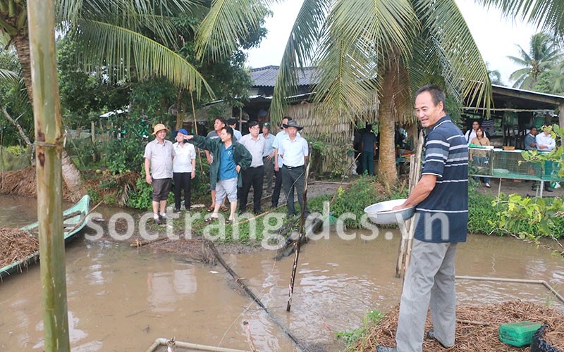 Giật mình vì tiếng động lạ ngoài sân, người đàn ông Lâm Đồng quay ra bắt được một con động vật hoang dã - Ảnh 2.