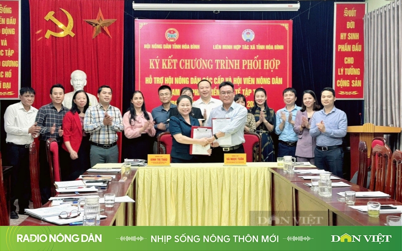 Nhịp sống nông thôn mới ngày 15/11/2024 - Ảnh 1.