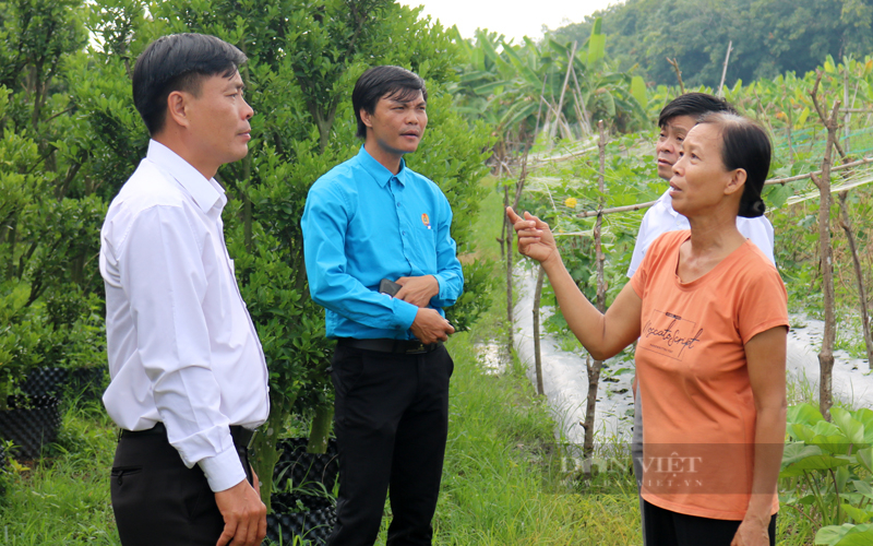 Chương trình hợp tác 6 nhà, cơ sở vững chắc kiến tạo chuỗi liên kết hỗ trợ nông dân Bình Dương - Ảnh 3.