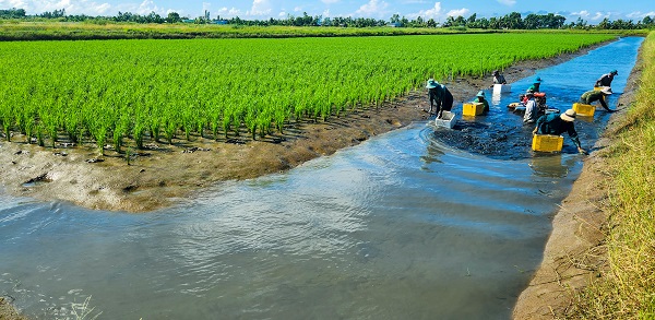 Luật Đất đai 2024 bảo vệ lợi ích người dân, giúp dân giàu lên như thế nào? (Bài 2) - Ảnh 2.