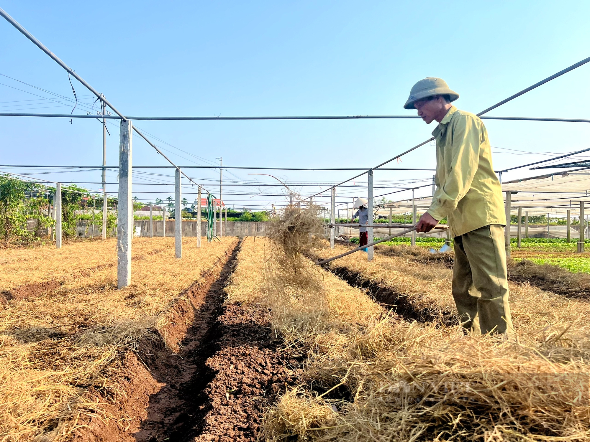 Ngắm cánh đồng chuyên canh rau an toàn của nông dân hợp tác xã tiêu biểu toàn quốc - Ảnh 9.