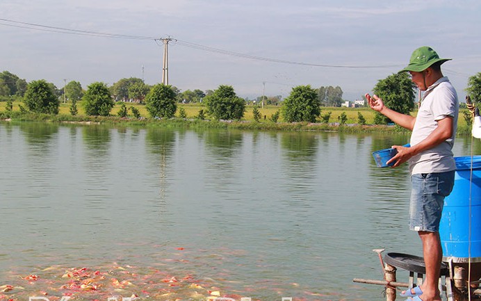 Nuôi chồn hương "đông như quân Nguyên", nông dân Nghệ An bán con động vật hoang dã này đắt hàng - Ảnh 9.