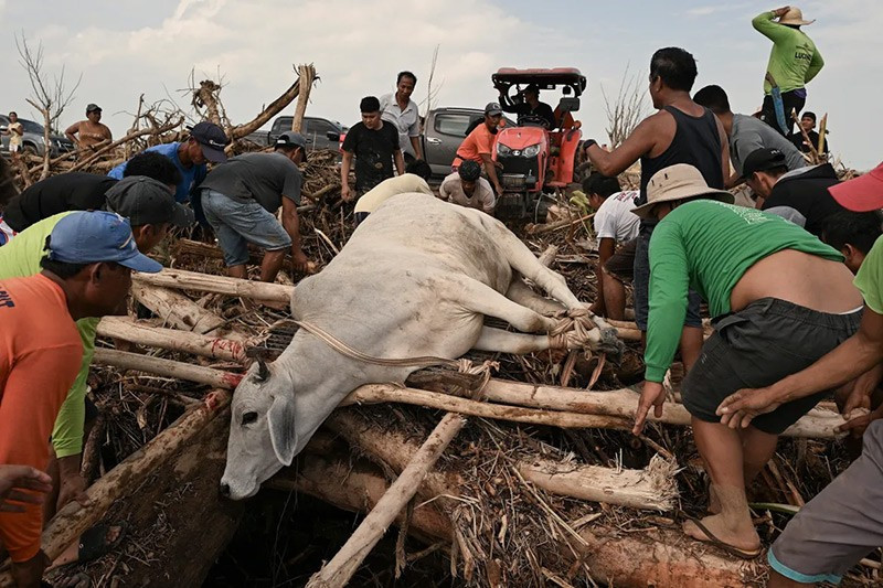 Sau khi bị bão Usagi tàn phá, Philippines chuẩn bị đón cuồng phong mới - Ảnh 4.