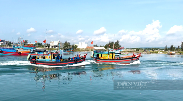 Sở NN&PTNT Quảng Ngãi sẽ đăng đàn giải trình sự kém cỏi của chế biến, xuất khẩu thuỷ sản- Ảnh 2.