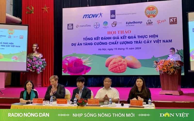 Nhịp sống nông thôn mới ngày 17/11/2024 - Ảnh 1.