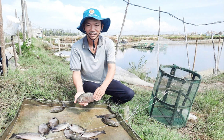 Doanh nhân nổi tiếng Bình Định "đánh đổi" gần nửa đời người…chỉ vì 3 giống gà đặc biệt - Ảnh 2.