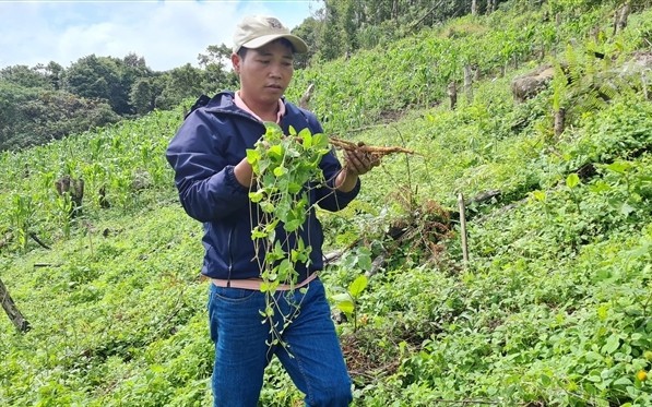 Doanh nhân nổi tiếng Bình Định "đánh đổi" gần nửa đời người…chỉ vì 3 giống gà đặc biệt - Ảnh 6.