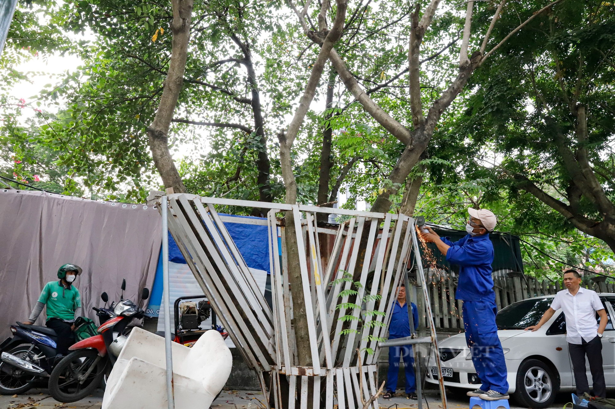 Cắt "giáp sắt" làm tổn thương hàng cây sưa đỏ quý hơn vàng ở Hà Nội- Ảnh 8.