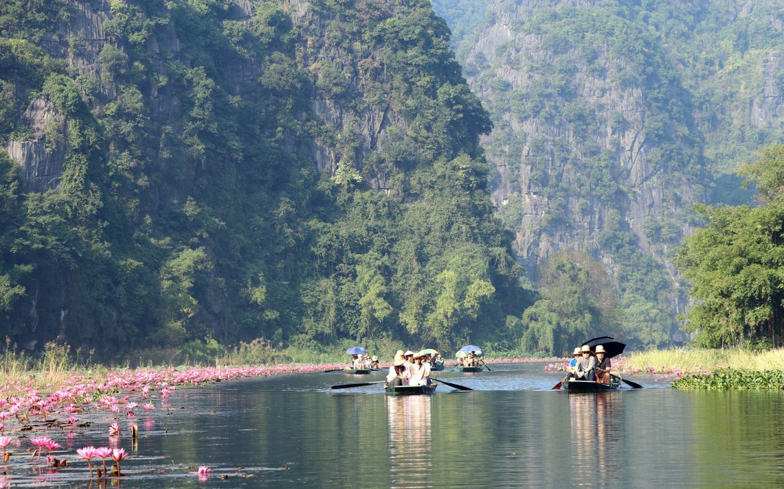 Giống gà tre do một anh nông dân Tiền Giang kỳ công lai tạo, nhân giống khiến cả làng phục lăn - Ảnh 2.