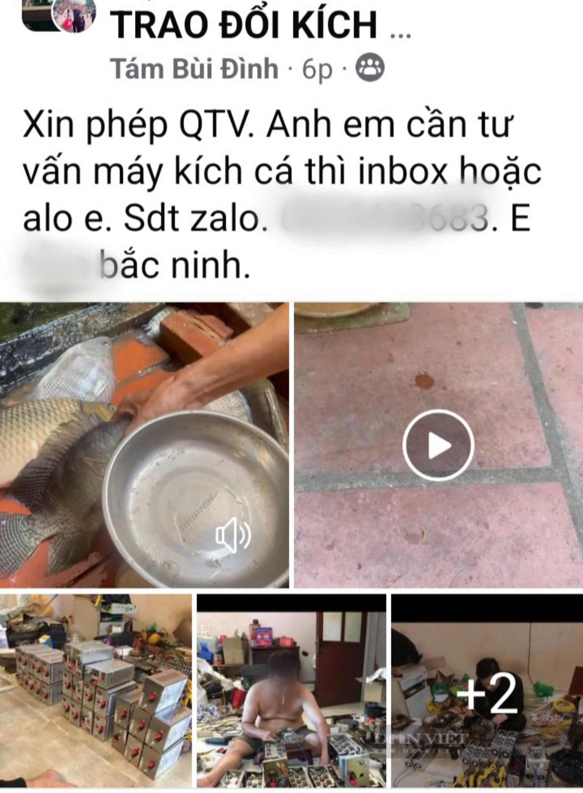 Hủy diệt thế giới của “Vua Thủy Tề” (Bài 2):Phóng điện, bắt cá, người chết trước cá! - Ảnh 4.