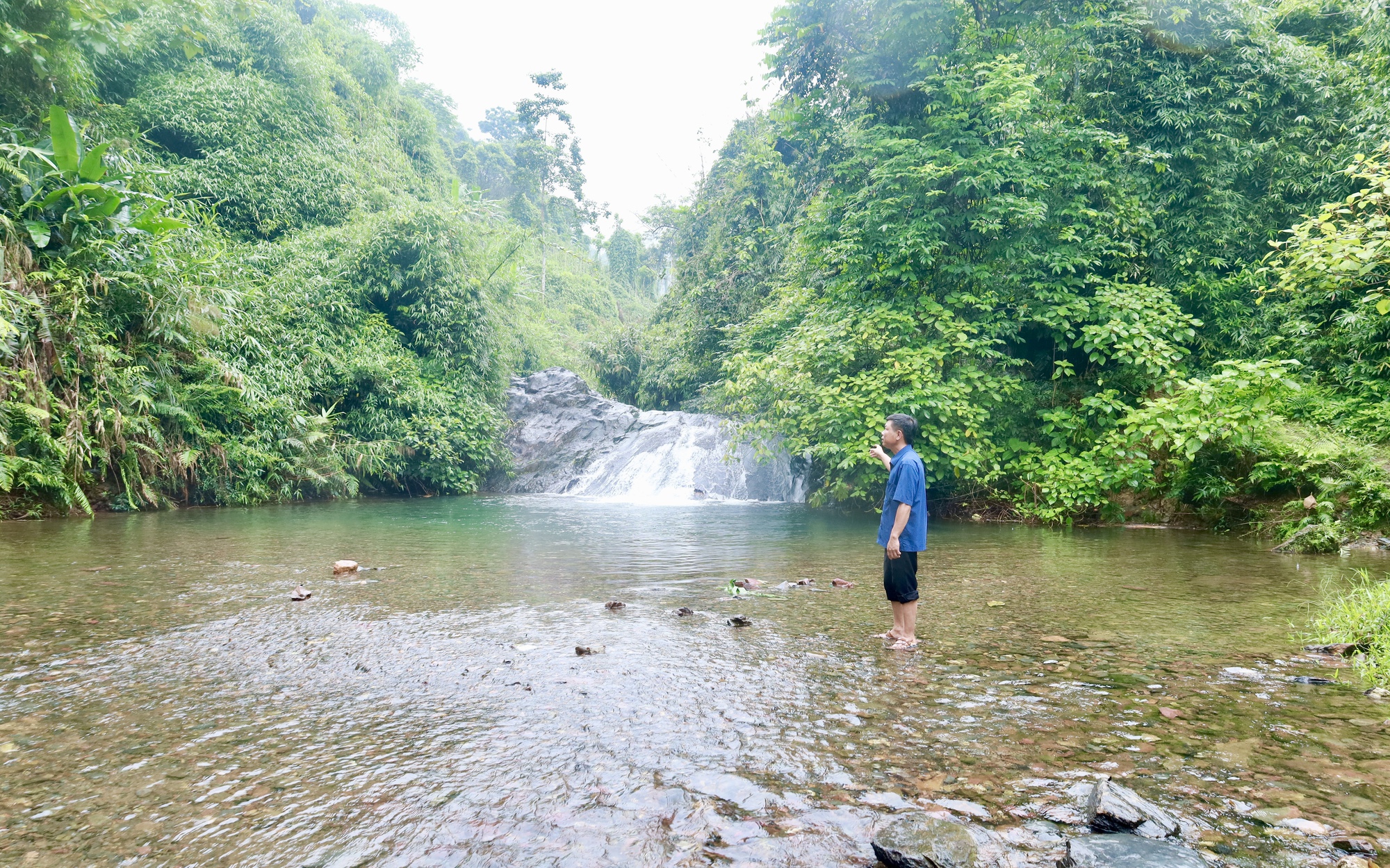 Giống gà tre do một anh nông dân Tiền Giang kỳ công lai tạo, nhân giống khiến cả làng phục lăn - Ảnh 4.