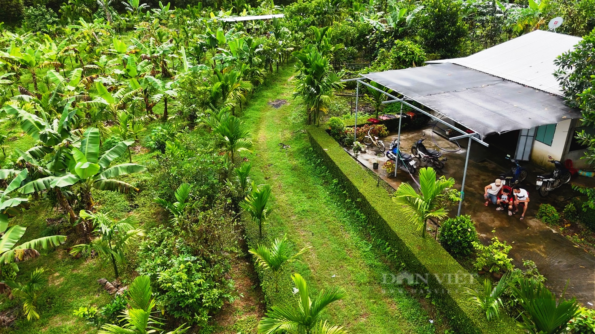 Chàng trai sinh năm 1984 thu nhập hơn nửa tỷ đồng nhờ trồng đủ loại cây ăn quả, nuôi con 2 đến 4 chân - Ảnh 2.