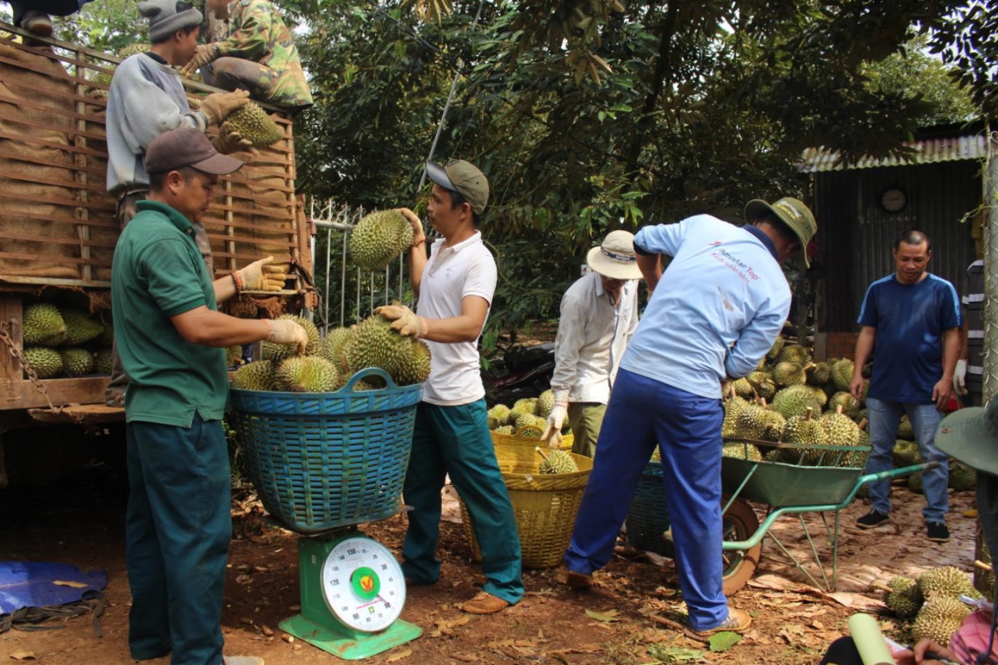 Đắk Lắk tái cơ cấu nông nghiệp gắn với xây dựng nông thôn mới phồn vinh - Ảnh 2.