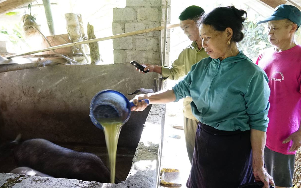 Phát lộ la liệt mộ cổ đếm chả xuể ở một khu rừng luồng Thanh Hóa, bí ẩn về chủ nhân, niên đại - Ảnh 1.