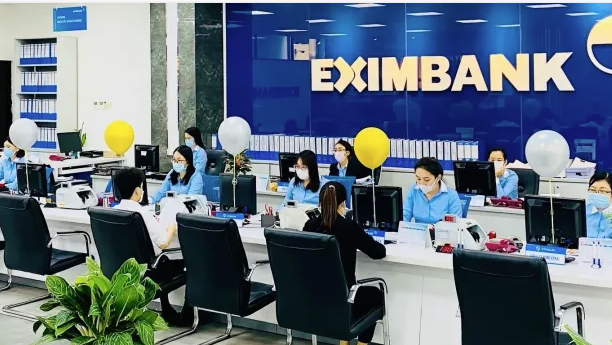 Eximbank nói gì về việc "bị Ngân hàng Nhà nước thanh tra"?- Ảnh 1.