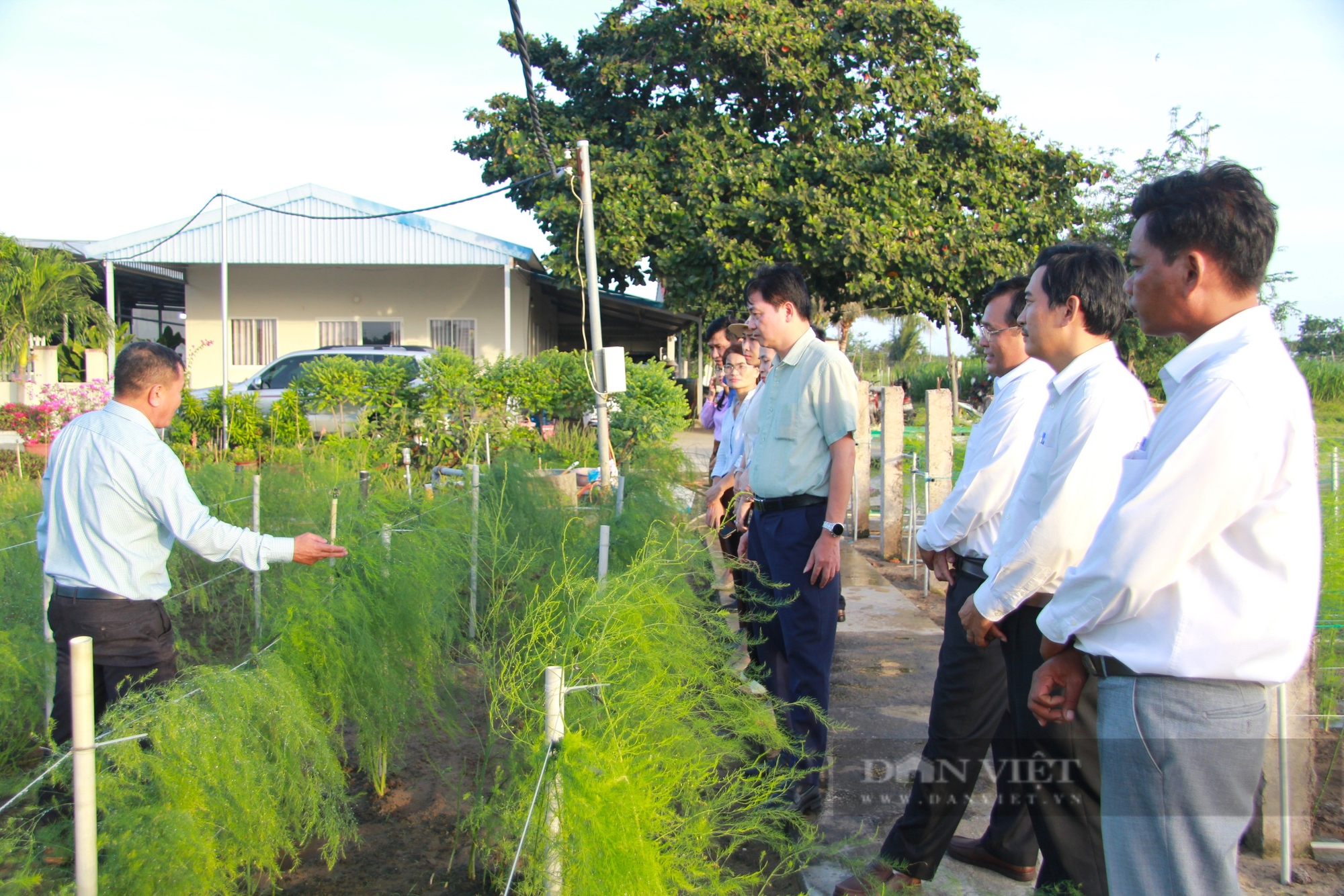 Khởi tố vụ án tham ô tài sản xảy ra tại trường THPT Tháp Chàm ở Ninh Thuận - Ảnh 5.