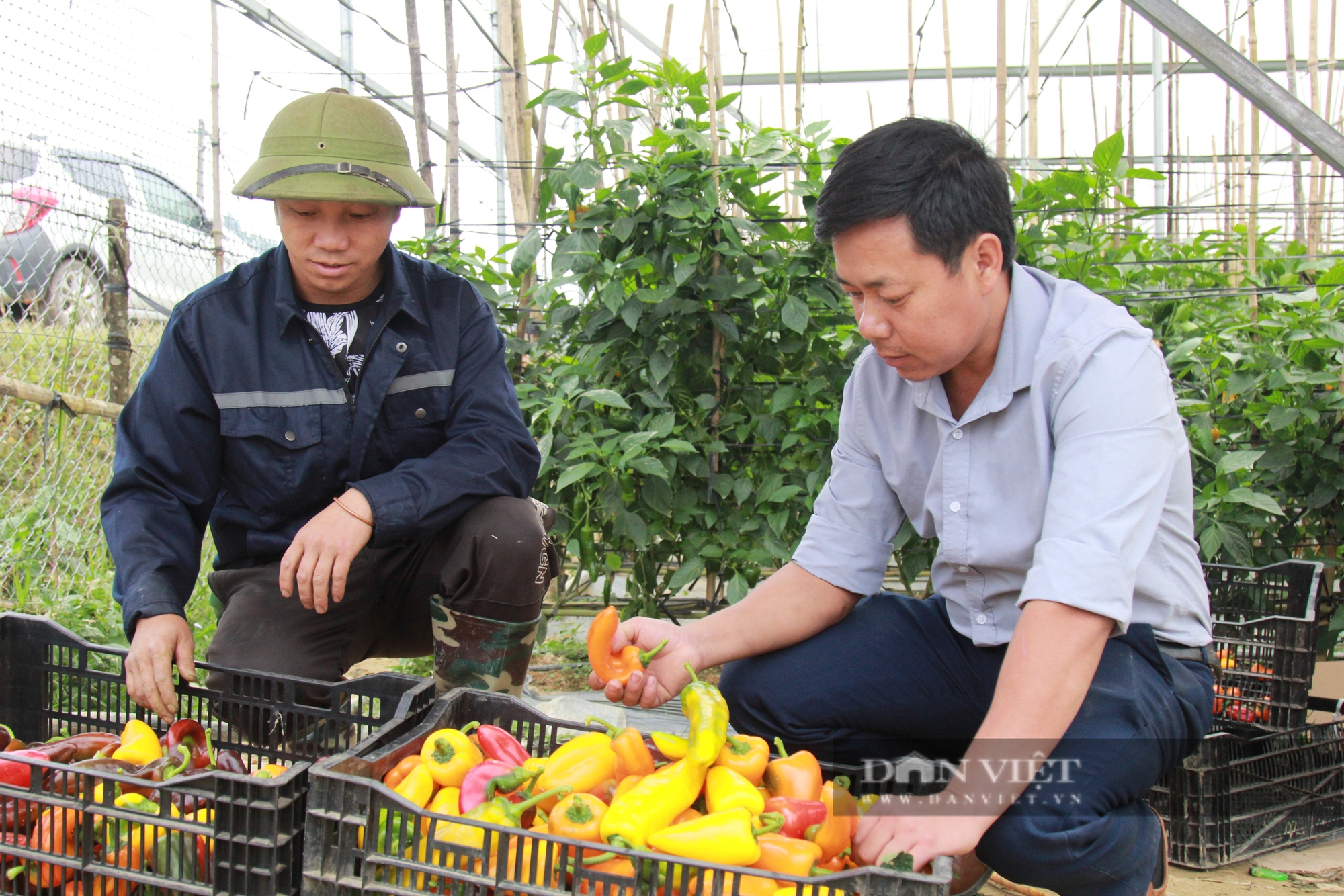 Nậm Khắt trở thành xã Nông thôn mới đầu tiên của huyện vùng cao Mù Cang Chải, làm sao để đạt được? - Ảnh 2.