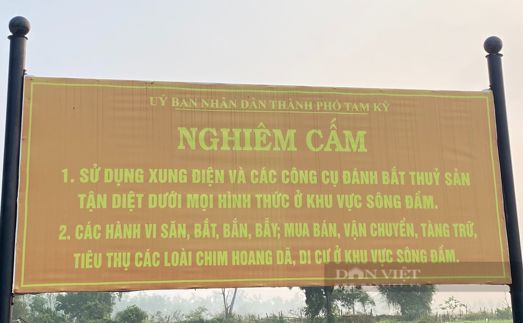 Hủy diệt thế giới của “Vua Thủy Tề” (Bài 3): Diệt nạn đánh bắt cá hủy diệt dễ đến không tưởng!- Ảnh 1.