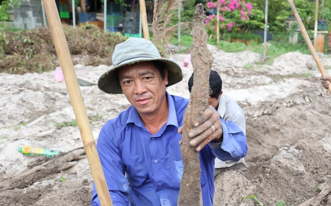 Nuôi gà đặc sản dưới tán cây trà hoa vàng, tưởng liều, ai ngờ nông dân Quảng Ninh lãi gấp đôi - Ảnh 6.