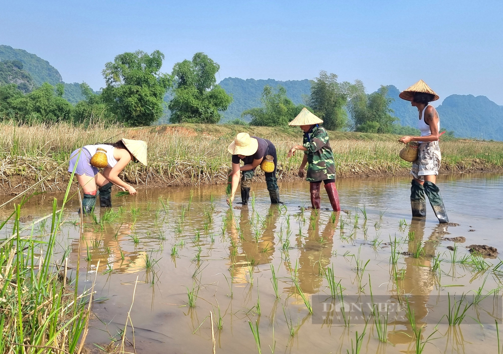 Ngỡ ngàng 17 cô gái người Mỹ làm công việc đồng áng tại Ninh Bình - Ảnh 3.